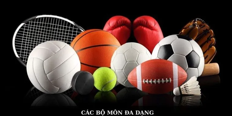 Khám Phá Thể Thao 6FF Đỉnh Cao Săn Thưởng Tiền Tỷ Cùng Nhà Cái