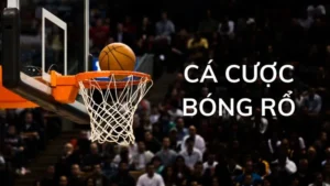Tìm Hiểu Cá Cược Bóng Rổ 6FF Sân Chơi Đẳng Cấp Dành Cho Bạn